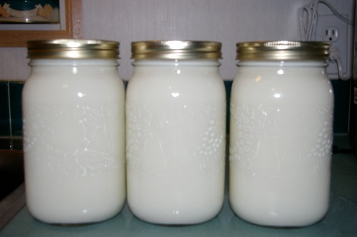 Home pasteurized milk